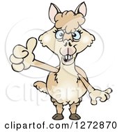 Clipart Of A Blue Eyed Beige Alpaca Giving A Thumb Up Royalty Free Vector Illustration