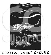 Black And White Woodcut Prehistoric Dunkleosteus And Coelacanth Fish