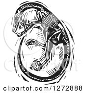 Clipart Of A Black And White Woodcut Curled Up Velociraptor Skeleton Royalty Free Vector Illustration by xunantunich