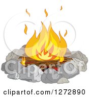 Campfire Burning In A Stone Ring