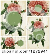 Poster, Art Print Of Vintage Pink Rose Invitation Designs