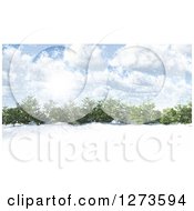Poster, Art Print Of 3d Grove Of Evergreen Trees In A Snowy Landscape On A Sunny Day