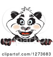 Clipart Of A Panda Peeking Over A Sign Royalty Free Vector Illustration