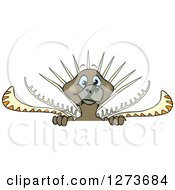 Clipart Of A Happy Lyrebird Peeking Over A Sign Royalty Free Vector Illustration by Dennis Holmes Designs