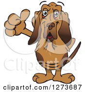 Poster, Art Print Of Happy Blood Hound Dog Giving A Thumb Up