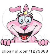 Clipart Of A Happy Pink Female Dog Peeking Over A Sign Royalty Free Vector Illustration by Dennis Holmes Designs