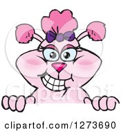 Clipart Of A Happy Pink Poodle Dog Peeking Over A Sign Royalty Free Vector Illustration