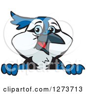 Clipart Of A Happy Blue Jay Bird Peeking Over A Sign Royalty Free Vector Illustration