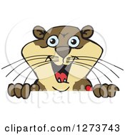 Clipart Of A Happy Otter Peeking Over A Sign Royalty Free Vector Illustration