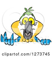 Clipart Of A Happy Parrot Peeking Over A Sign Royalty Free Vector Illustration