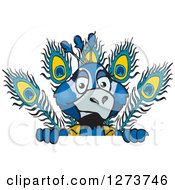 Clipart Of A Peacock Peeking Over A Sign Royalty Free Vector Illustration by Dennis Holmes Designs