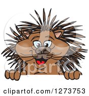 Clipart Of A Happy Porcupine Peeking Over A Sign Royalty Free Vector Illustration