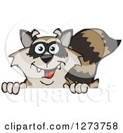 Poster, Art Print Of Happy Raccoon Peeking Over A Sign