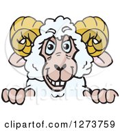 Poster, Art Print Of Happy Ram Sheep Peeking Over A Sign