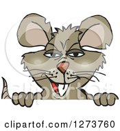 Clipart Of A Rat Peeking Over A Sign Royalty Free Vector Illustration