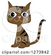 Poster, Art Print Of Happy Sitting Brown Tabby Cat