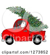 Poster, Art Print Of Santa Driving A Fresh Cut Christmas Tree With Lights In A Red Pickup Truck