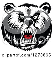 Poster, Art Print Of Black And White Angry Bear Face With A Gray Nose And Red Tongue