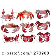 Clipart Of Red Crabs Royalty Free Vector Illustration