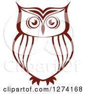 Poster, Art Print Of Brown Owl Facing Front 4