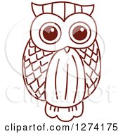 Poster, Art Print Of Brown Sketched Owl 5