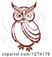 Poster, Art Print Of Brown Owl Facing Front 6