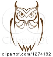 Poster, Art Print Of Brown Owl Facing Front 7