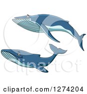 Poster, Art Print Of Swimming Whales