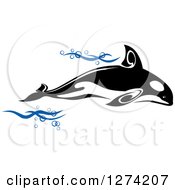 Black And White Killer Whale Orca With Blue Waves