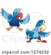 Poster, Art Print Of Happy Blue Parrots