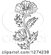 Poster, Art Print Of Black And White Poppy Flower