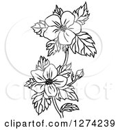 Clipart Of A Black And White Dogwood Flower Stem Royalty Free Vector Illustration