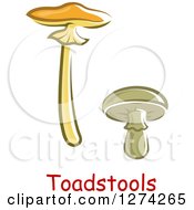 Clipart Of Toadstool Mushrooms And Text Royalty Free Vector Illustration