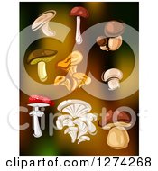 Clipart Of Mushrooms Over Gradient Royalty Free Vector Illustration