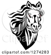 Black And White Horse Head With Demonic Eyes