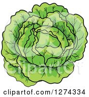 Clipart Of A Green Cabbage Royalty Free Vector Illustration