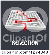 Poster, Art Print Of 3d White Maze With A Red Arrow Leading To The Way Out To Selection Text