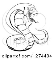 Clipart Of A Black And White Aggressive Cobra Snake Ready To Strike Royalty Free Vector Illustration