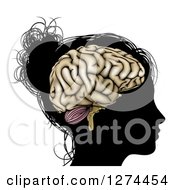 Clipart Of A Silhouetted Womans Or Girls Head With A Visible Brain Royalty Free Vector Illustration