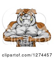 Tough Muscular Bulldog Man Punching One Fist Into A Palm
