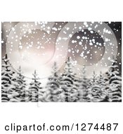 Poster, Art Print Of Blurred Christmas Background Of Snow And Evergreen Trees