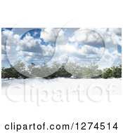 Poster, Art Print Of 3d Grove Of Evergreen Trees In A Snowy Landscape On A Sunny Day With Clouds And Flares