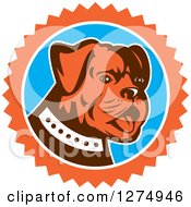 Clipart Of A Retro Cute Bulldog In An Orange White And Blue Burst Royalty Free Vector Illustration
