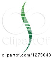 Clipart Of A Green Spine Royalty Free Vector Illustration by Lal Perera