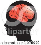 Poster, Art Print Of Silhouetted Human Head And Red Brain