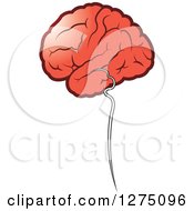 Clipart Of A Human Brain And Stem Royalty Free Vector Illustration