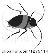 Poster, Art Print Of Black And White Cockroach