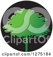 Clipart Of A Green Tree Over A Black Circle Royalty Free Vector Illustration