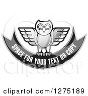 Poster, Art Print Of Silver And Black Owl And Banner Icon