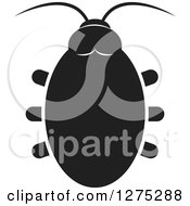 Poster, Art Print Of Black And White Beetle